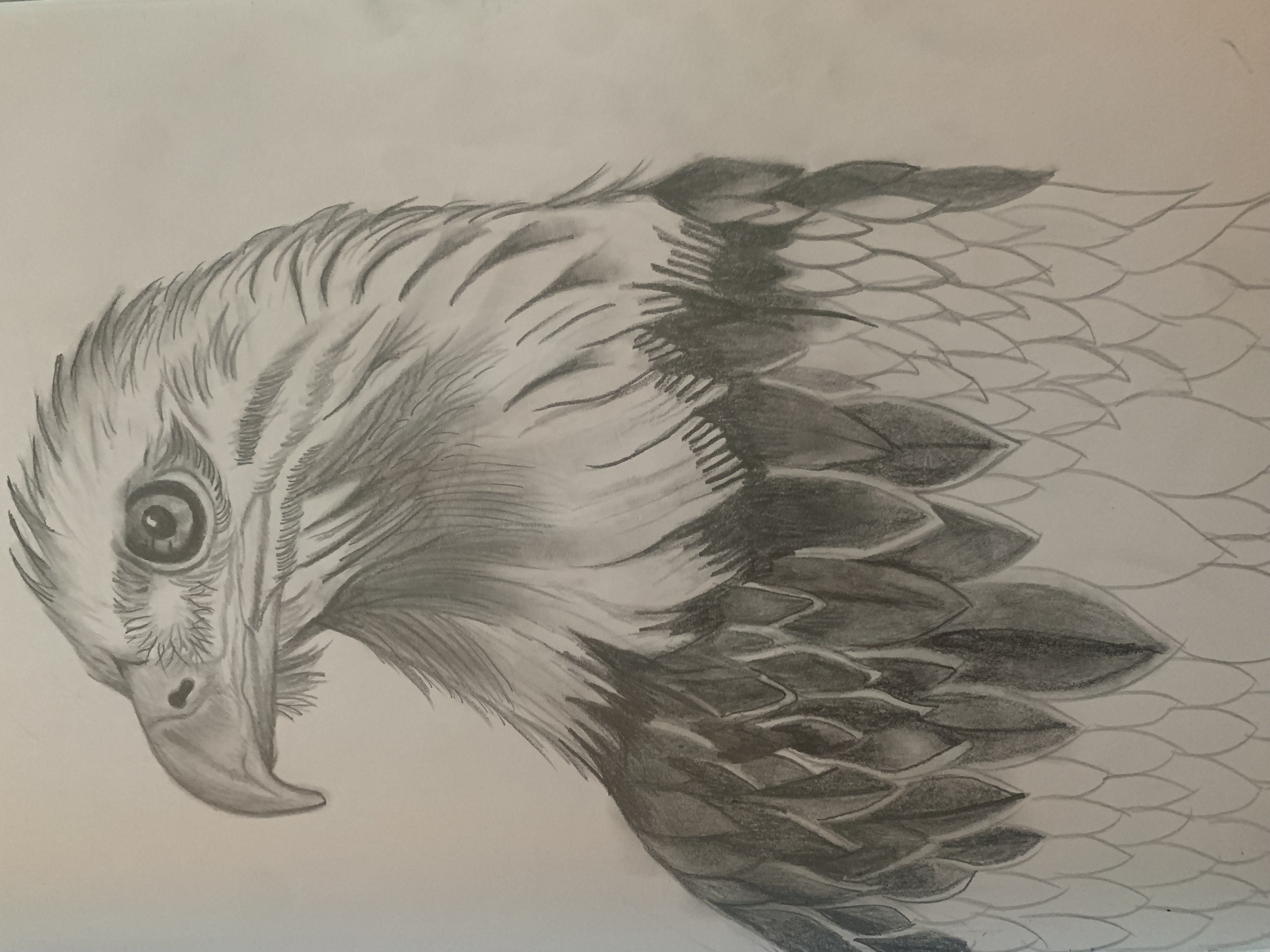 Art 3