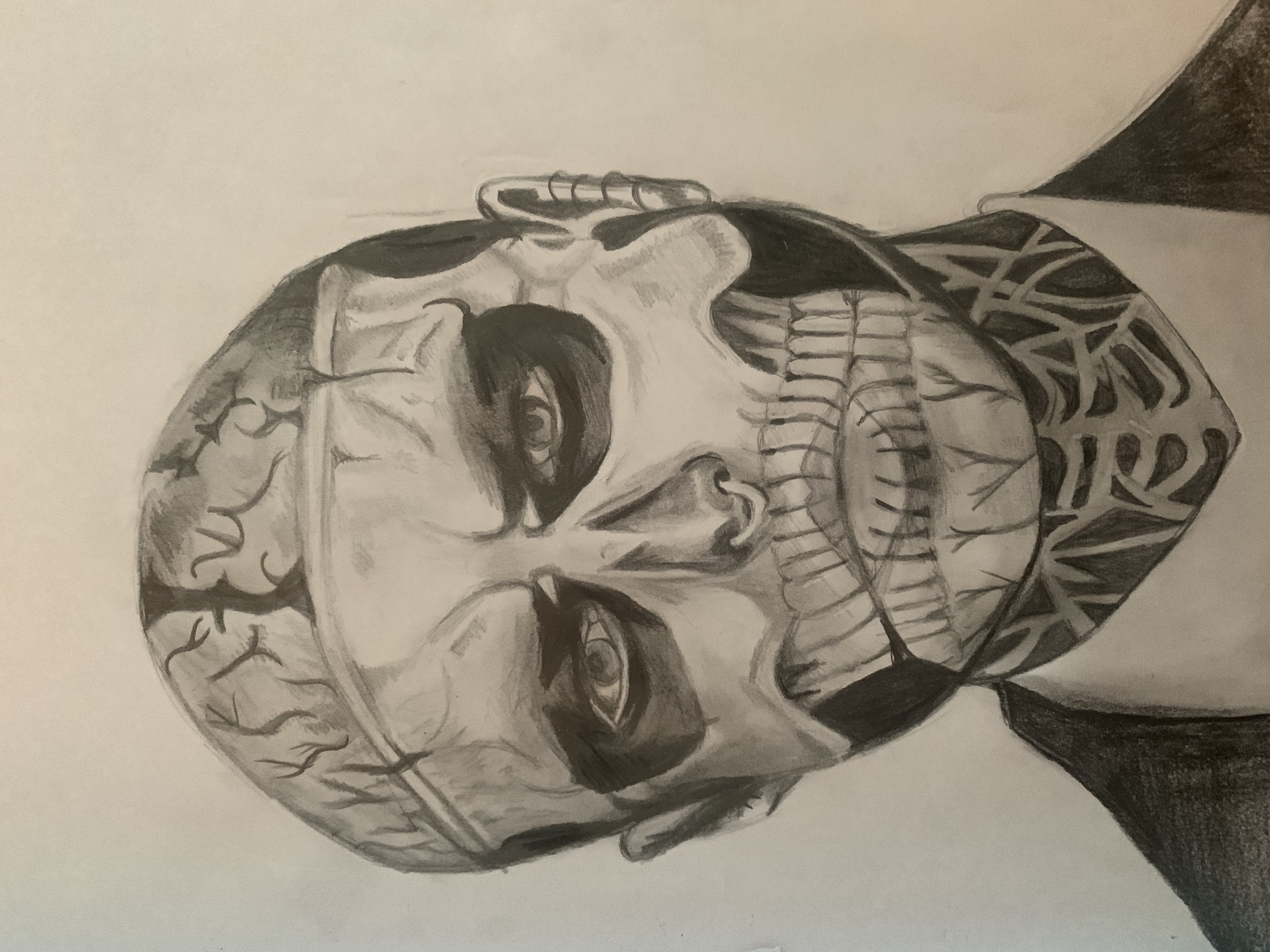 Art 5