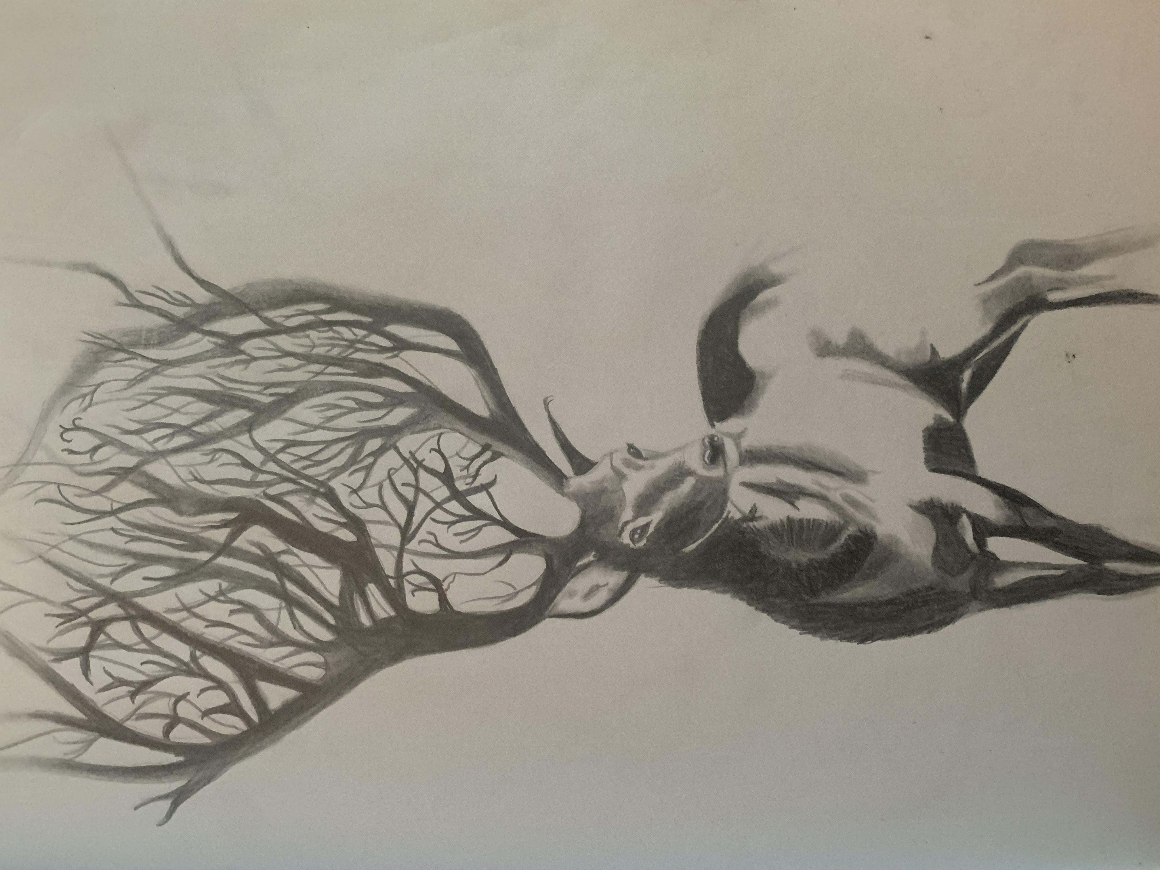 Art 5